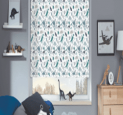 Vision Blinds